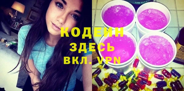 шишки Аркадак