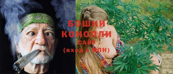 шишки Аркадак