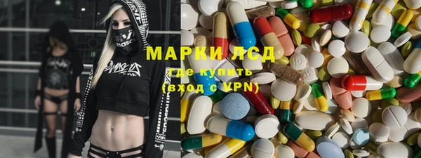 шишки Аркадак