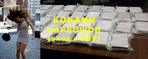 шишки Аркадак