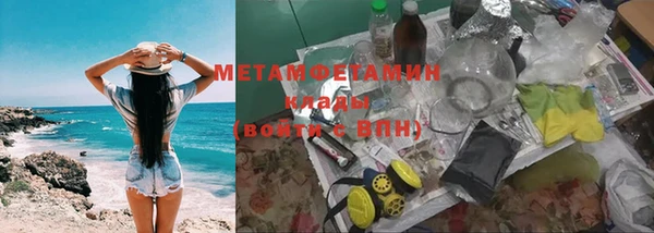 шишки Аркадак