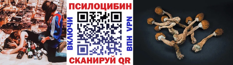 Галлюциногенные грибы MAGIC MUSHROOMS  Купить где  Инза 