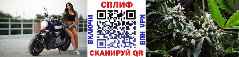 Канабис Bruce Banner  Купить закладки  Инза 